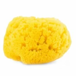 Chicco Naturschwamm Karibik