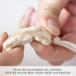 Grünspecht Zahnungshilfe Veilchenwurzel -Wickeln Verkaufsladen grunspecht zahnungshilfe veilchenwurzel 525 v1 d2